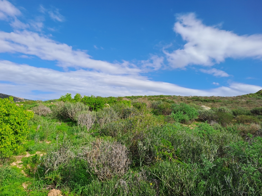 0 Bedroom Property for Sale in Britannica Heights Western Cape
